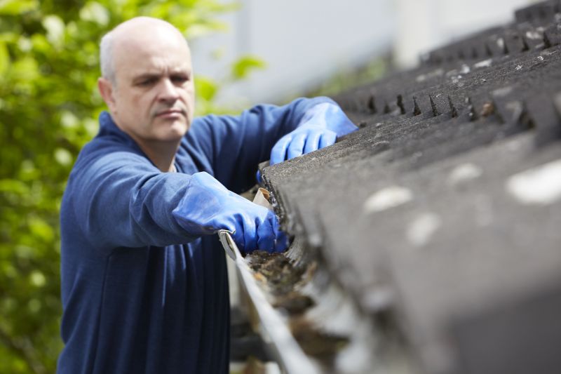 Gutter Maintenance in Sidney